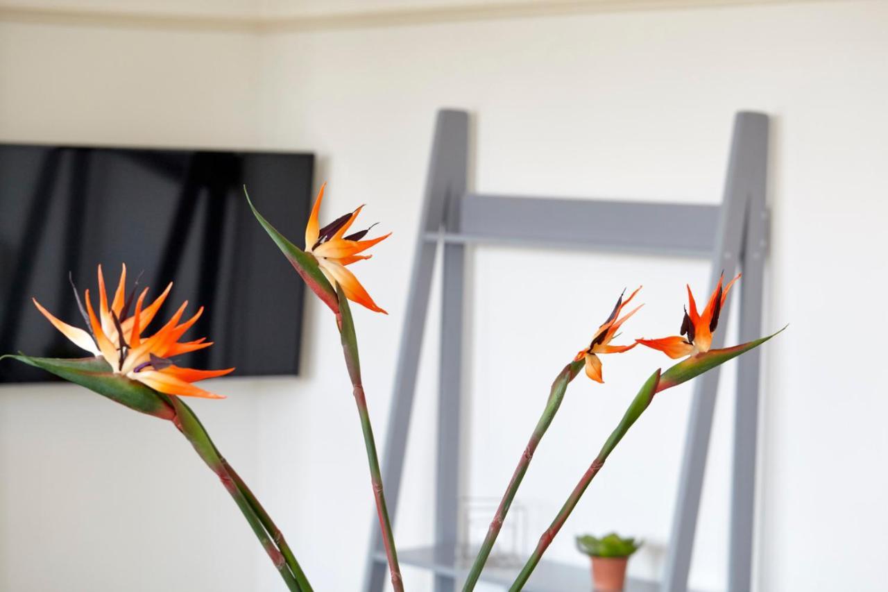 Redcliffe Parade No11 I Your Apartment บริสตอล ภายนอก รูปภาพ